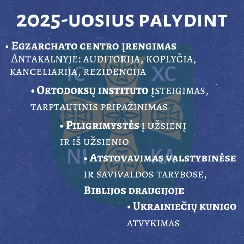 apžvalga