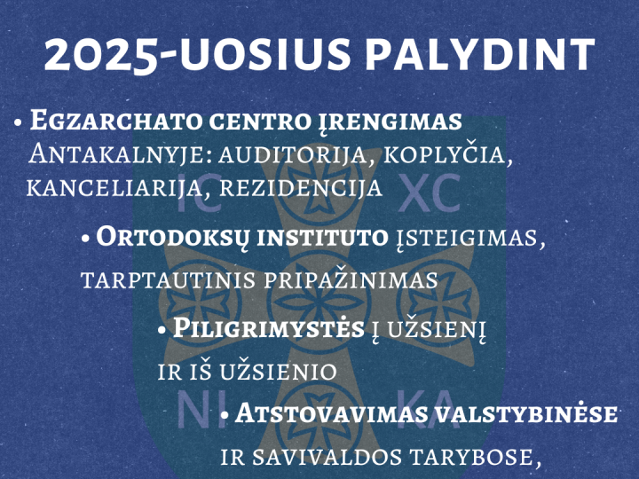 apžvalga